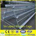 Chicken feeding cages/welded chicken egg incub/hens coop                        
                                                                                Supplier's Choice